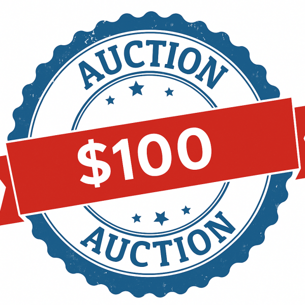 Auction Item 100