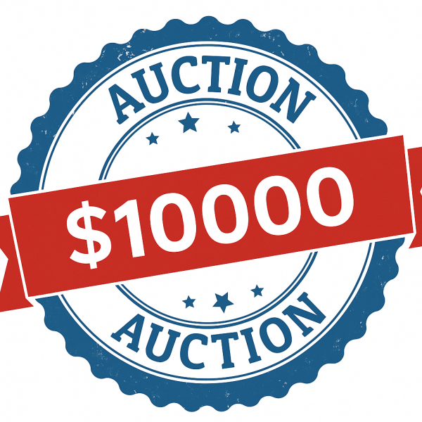Auction Item 10000