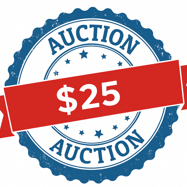 Auction Item 25