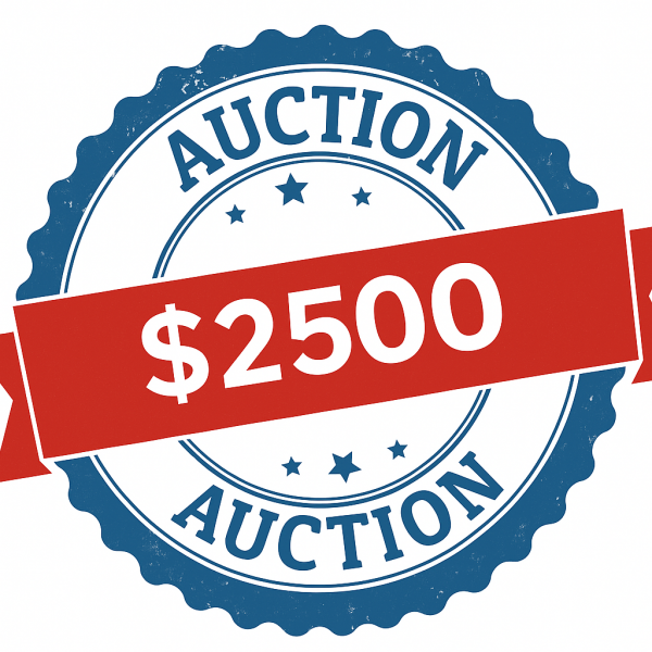 Auction Item 2500