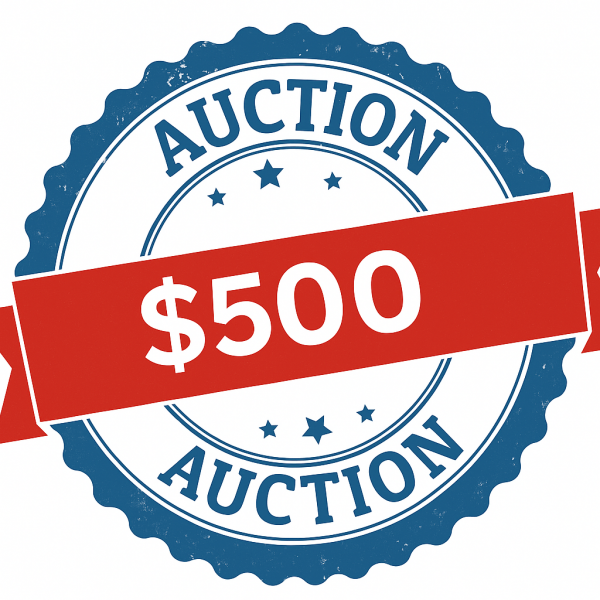 Auction Item 500